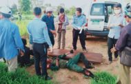 បេីកម៉ូតូមិនប្រយត្ន័បុក​គោយន្ត​កន្ត្រៃ​ពី​ខាងក្រោយ​បណ្ដាលអោយមនុស្ស៣នាក់រងរបួសធ្ងន់ស្រាល!!