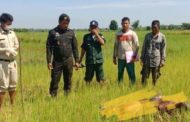 ផឹកស្រាស្រវឹងជោកជាំវង្វេងស្មារតីអត់បាយអត់ទឹកកើតខ្យល់គដេកស្លាប់ក្នុងវាលស្រែ !