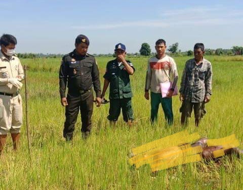ផឹកស្រាស្រវឹងជោកជាំវង្វេងស្មារតីអត់បាយអត់ទឹកកើតខ្យល់គដេកស្លាប់ក្នុងវាលស្រែ !