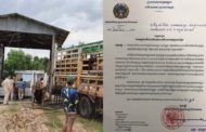 ជំងឺប៉េស្តជ្រូកអាហ្វ្រិក រាលដាលដល់ខេត្តស្វាយរៀងហើយ!!