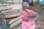 ហាមហេីយនៅតែមានចូលទៀត!សាច់សុទ្ធចំនួន៦០គីឡូក្រាមត្រូវបានសមត្ថកិច្ចដុតកំទេចចោល!