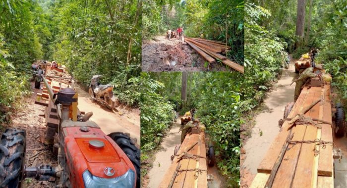 លោក សុខ លន់ ជាមេឈ្មួញដុះស្លែរចូលអាឈើក្នុងតំបន់អភិរក្សព្រៃឡង់ ឆ្លងកាត់អូងាវ សមត្ថកិច្ច​បរិស្ថាន​មេ​ព្រៃ​អត់ហ៊ានបង្រ្កាប!