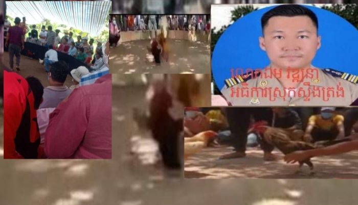 ទីតាំងល្បែងស៊ីសងជល់មាន់និងអាប៉ោងកំពុងបើកលែងយ៉ាងគគ្រឹកគគ្រេងអាជ្ញាធរនិងសមត្ថកិច្ចពាក់ព័ន្ធមិនបង្ក្រាប នៅស្រុកស្ទឹងត្រង់
