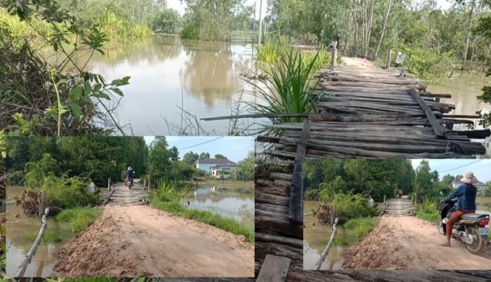 ស្ពានឈើ​ចាស់​ទ្រុឌទ្រោម​ធ្វើ​ឱ្យ​ពលរដ្ឋ​ជិត​៤០០​គ្រួសារ ស្នើ​សុំ​ឲ្យអជ្ញាធរជួយស្ថាបនាផង