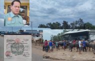 ពលរដ្ឋលក់គោក្របីឆ្លងទៅ​វៀតណាមត្អូញត្អែថាក្រុមហ៊ុន​ របស់លោក​ ​ជឹម.សុខ ហែកក្រដាស់បង់លុយយកថ្លៃកប់ពពក​ធ្វេីបាប់រាស្ត្រ