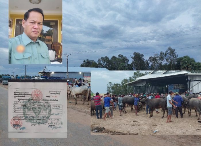 ពលរដ្ឋលក់គោក្របីឆ្លងទៅ​វៀតណាមត្អូញត្អែថាក្រុមហ៊ុន​ របស់លោក​ ​ជឹម.សុខ ហែកក្រដាស់បង់លុយយកថ្លៃកប់ពពក​ធ្វេីបាប់រាស្ត្រ