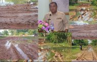 ពលរដ្ឋស្នើសុំលោកអភិបាលស្រុកកំពង់រោទិ៍ចុះពិនិត្យមើលផ្លូវក្រវ៉ាត់ស្រុកកំពង់រោទិ៍ផង