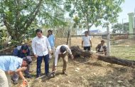 វិវាទដីធ្លីរវាងបងប្អូនបង្កើតត្រូវបានដោះស្រាយបញ្ចប់ទទួលបានជោគជ័យនៅ ឃុំកំពង់ចក ស្រុករំដួល !